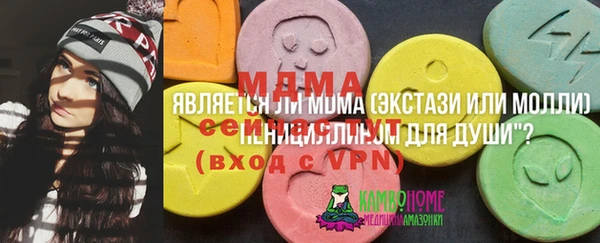 ГАЛЛЮЦИНОГЕННЫЕ ГРИБЫ Корсаков